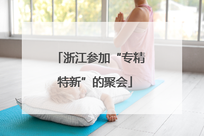 浙江参加“专精特新”的聚会
