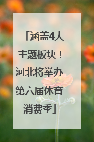 涵盖4大主题板块！河北将举办第六届体育消费季