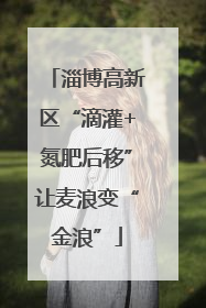 淄博高新区“滴灌+氮肥后移”让麦浪变“金浪”