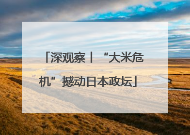 深观察丨“大米危机”撼动日本政坛