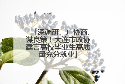 深调研、广协商、谋良策！大连市政协建言高校毕业生高质量充分就业