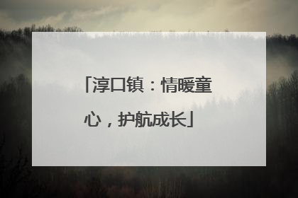 淳口镇：情暖童心，护航成长