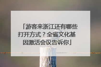 游客来浙江还有哪些打开方式？全省文化基因激活会议告诉你