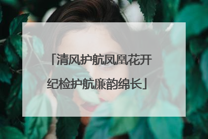 清风护航凤凰花开 纪检护航廉韵绵长