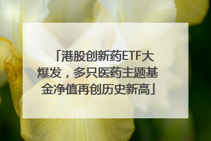 港股创新药ETF大爆发，多只医药主题基金净值再创历史新高