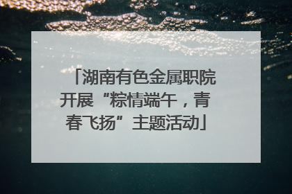 湖南有色金属职院开展“粽情端午，青春飞扬”主题活动