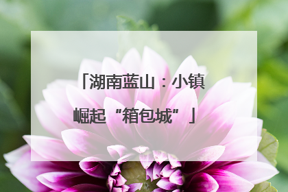 湖南蓝山：小镇崛起“箱包城”