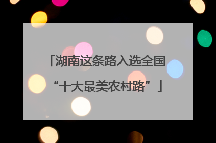 湖南这条路入选全国“十大最美农村路”