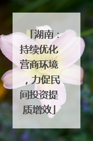湖南：持续优化营商环境，力促民间投资提质增效