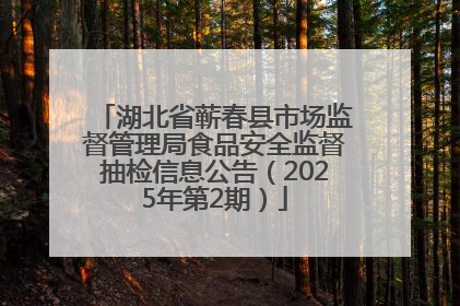 湖北省蕲春县市场监督管理局食品安全监督抽检信息公告（2025年第2期）