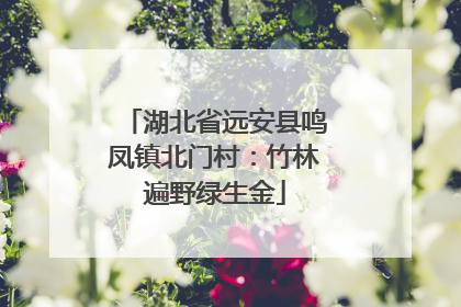 湖北省远安县鸣凤镇北门村：竹林遍野绿生金