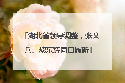 湖北省领导调整，张文兵、黎东辉同日履新