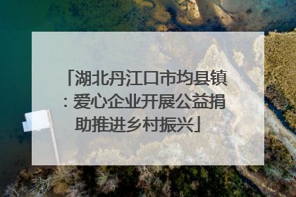 湖北丹江口市均县镇：爱心企业开展公益捐助推进乡村振兴