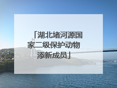湖北堵河源国家二级保护动物添新成员