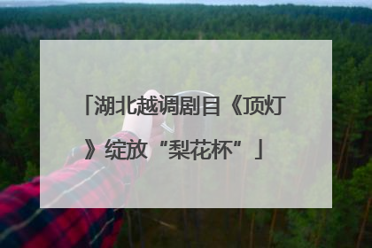湖北越调剧目《顶灯》绽放“梨花杯”