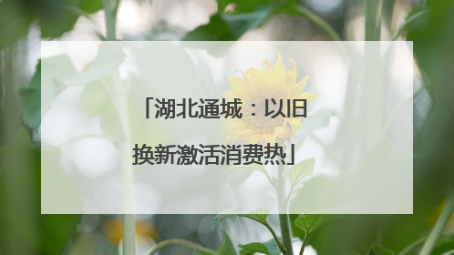 湖北通城：以旧换新激活消费热