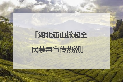湖北通山掀起全民禁毒宣传热潮