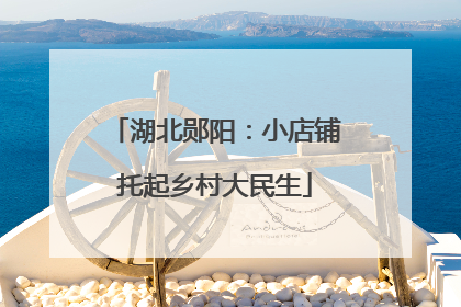 湖北郧阳：小店铺托起乡村大民生