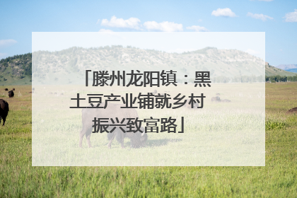 滕州龙阳镇：黑土豆产业铺就乡村振兴致富路