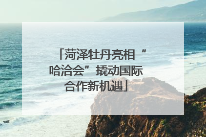 菏泽牡丹亮相“哈洽会”撬动国际合作新机遇
