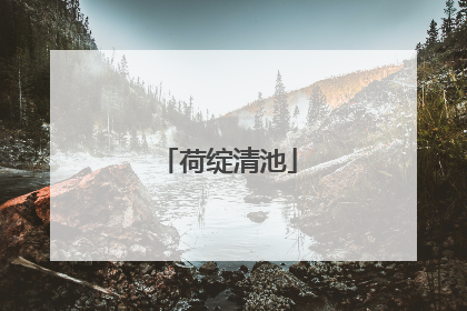 荷绽清池