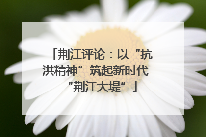 荆江评论：以“抗洪精神”筑起新时代“荆江大堤”