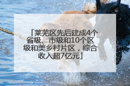 莱芜区先后建成4个省级、市级和10个区级和美乡村片区，综合收入超7亿元