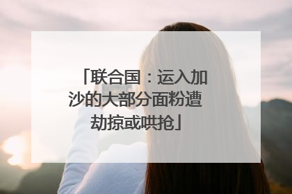 联合国：运入加沙的大部分面粉遭劫掠或哄抢