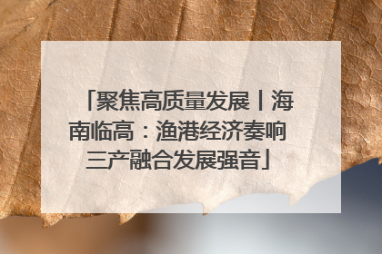 聚焦高质量发展丨海南临高：渔港经济奏响三产融合发展强音