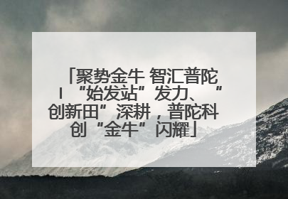 聚势金牛 智汇普陀〡“始发站”发力、“创新田”深耕，普陀科创“金牛”闪耀