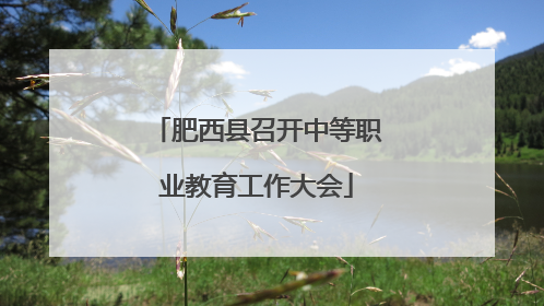 肥西县召开中等职业教育工作大会