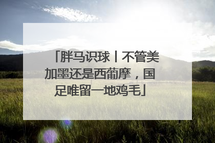 胖马识球丨不管美加墨还是西葡摩，国足唯留一地鸡毛