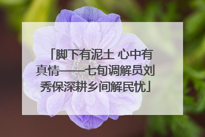 脚下有泥土 心中有真情——七旬调解员刘秀保深耕乡间解民忧