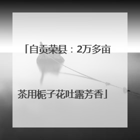 自贡荣县：2万多亩茶用栀子花吐露芳香