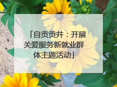 自贡贡井：开展关爱服务新就业群体主题活动