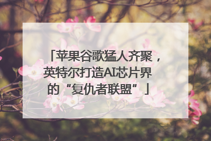 苹果谷歌猛人齐聚，英特尔打造AI芯片界的“复仇者联盟”