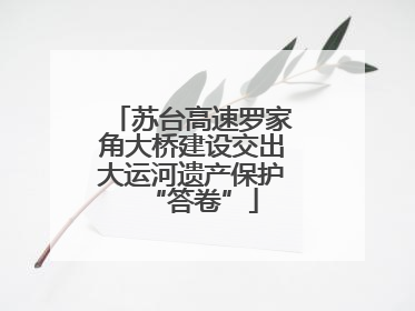 苏台高速罗家角大桥建设交出大运河遗产保护“答卷”