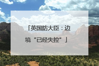 英国防大臣：边境“已经失控”