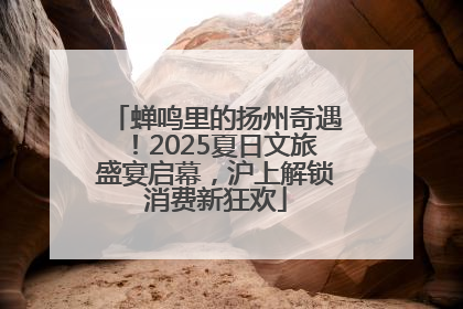 蝉鸣里的扬州奇遇！2025夏日文旅盛宴启幕，沪上解锁消费新狂欢