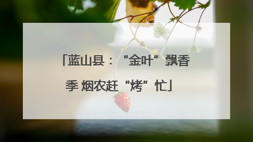 蓝山县：“金叶”飘香季 烟农赶“烤”忙