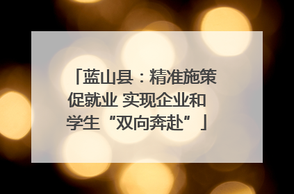 蓝山县：精准施策促就业 实现企业和学生“双向奔赴”