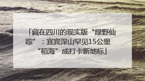 藏在四川的现实版“绿野仙踪”：宜宾深山罕见15公里“稻海”成打卡新地标