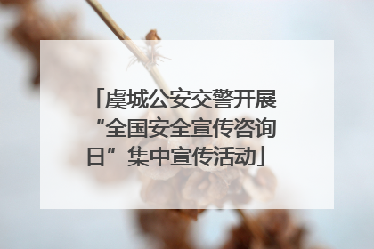 虞城公安交警开展“全国安全宣传咨询日”集中宣传活动