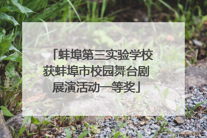 蚌埠第三实验学校获蚌埠市校园舞台剧展演活动一等奖