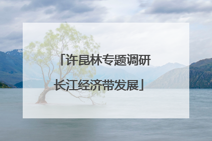 许昆林专题调研长江经济带发展