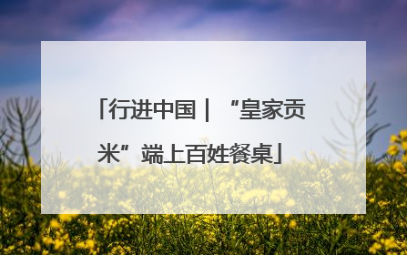 行进中国｜“皇家贡米”端上百姓餐桌