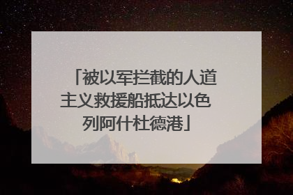 被以军拦截的人道主义救援船抵达以色列阿什杜德港