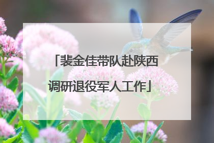 裴金佳带队赴陕西调研退役军人工作