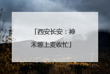 西安长安：神禾塬上麦收忙