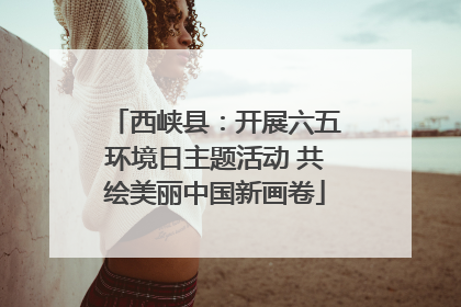 西峡县：开展六五环境日主题活动 共绘美丽中国新画卷